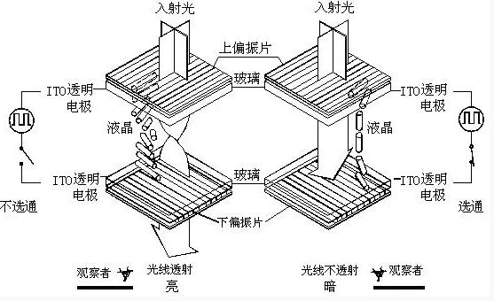 10001-转换自-png.webp 10001-转换自-png.webp