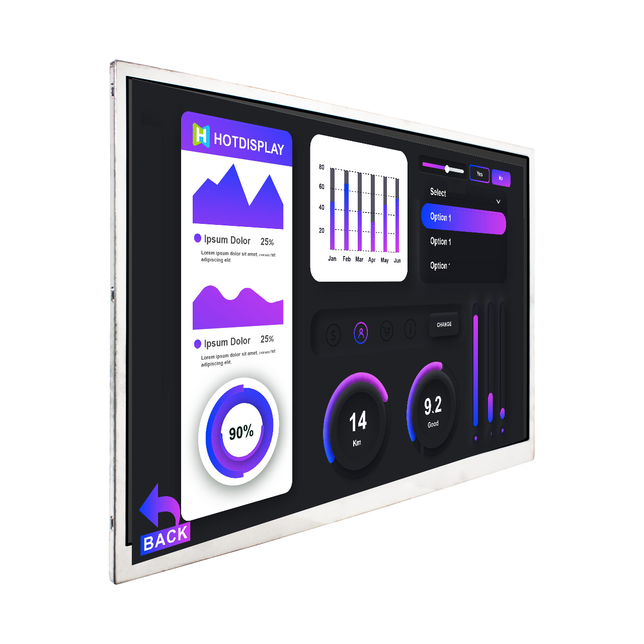 10.1寸1024x600 LVDS IPS TFT液晶显示屏