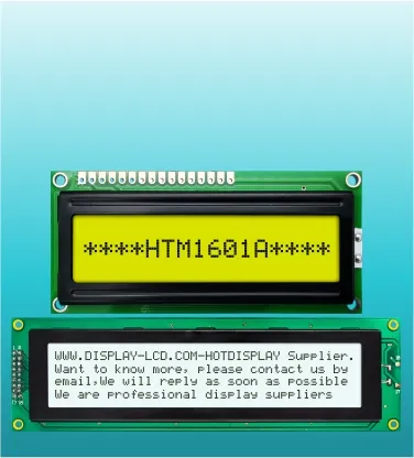 Character<br />Display