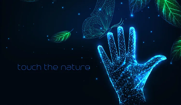 China LCD TFT Display Manufacturer, Global Supplier